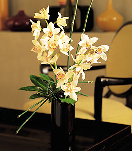  zmir nternetten iek siparii  cam yada mika vazo ierisinde dal orkide