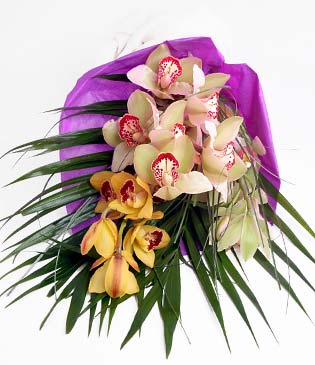  zmir iek sat  1 adet dal orkide buket halinde sunulmakta
