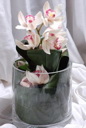  zmir iek gnderme sitemiz gvenlidir  Cam yada mika vazo ierisinde tek dal orkide