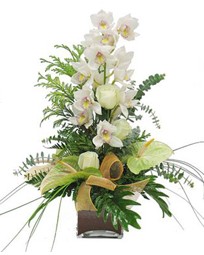  zmir iekiler  cam vazo ierisinde 1 dal orkide iegi