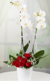 2 dall beyaz orkide 7 adet krmz gl  zmir ucuz iek gnder 