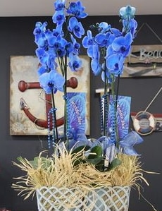 4 dall zel mavi orkide  zmir iek yolla 